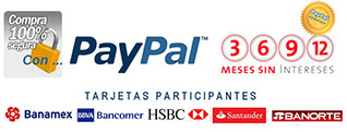 Pago por Paypal a meses sin intereses del curso de Auriculoterapia