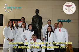segunda sesion de fotos de grupo del curso de acupuntura en china