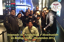 grupo de particpantes posan para la foto antes de subir a la torre más alta de shanghai durante los recorridos turisticos del curso de acupuntura