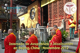 visita a monasterio budista en shanghai