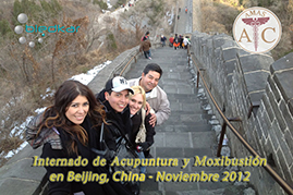 visita a la muralla china durante el internado de acupuntura de 2 semanas en china