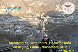 vista aerea de la muralla china 