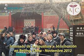foto del grupo visitando la ciudad prohibida el ultimo fin de semana del curso de acupuntura