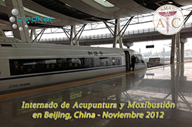 tren bala beijing-shanghai para el recorrido turistico del curso de acupuntura