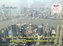 vista aerea de shanghai durante el curso de acupuntura en china
