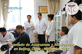 participantes en una sesión de diagnostico en el curso de acupuntura